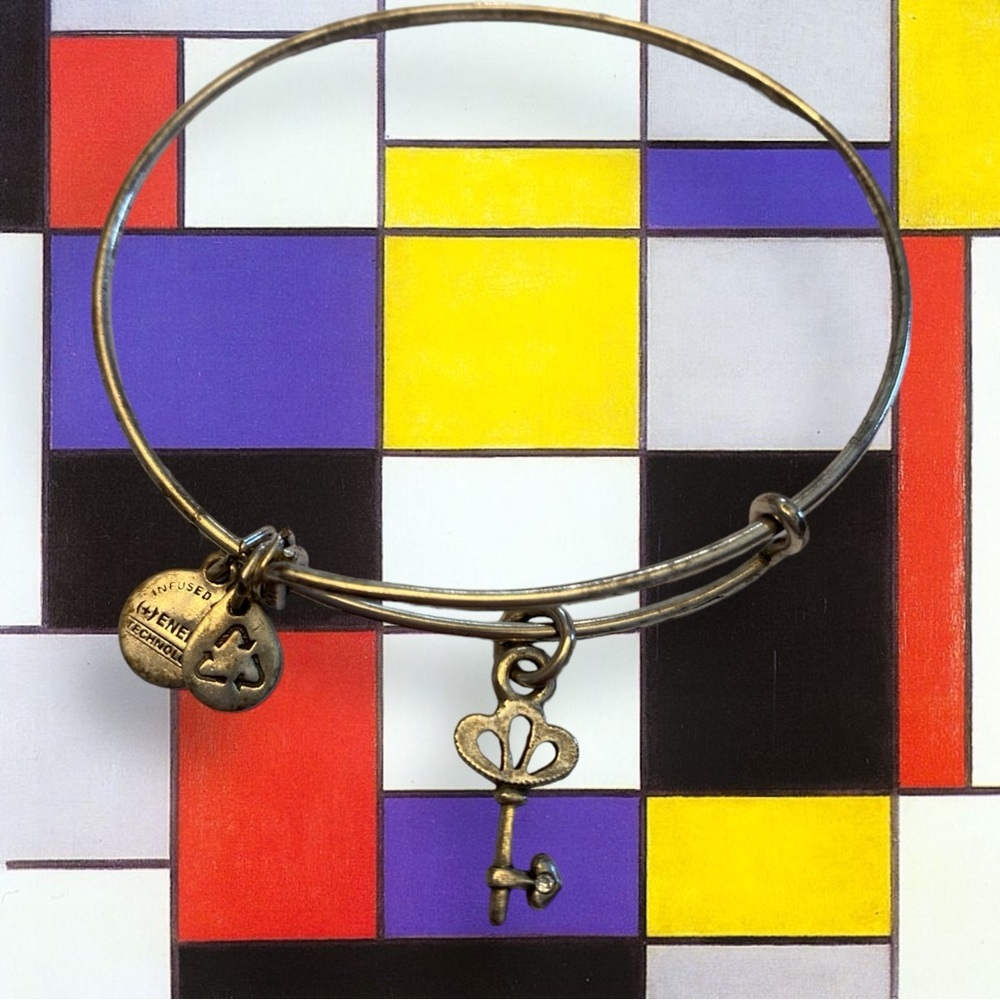 Alex and Ani Rafaellian Silver Skeleton Key Adjustable Charm Bangle Bracelet